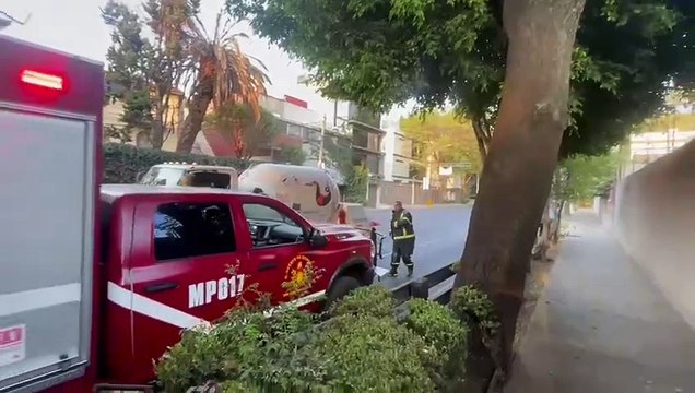 ¡Bomberos héroes!, rescatan a un gato que trepó a un árbol en Benito Juárez