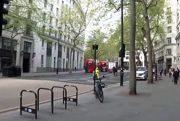 Caballos sueltos siembran el caos en Londres (VIDEO)