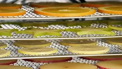 10-Tray Stainless Steel Food Dehydrator with Digital Timer