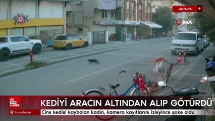 Antalya'da cins kedisi kaybolan kadın, kamera kayıtlarını izleyince şoke oldu