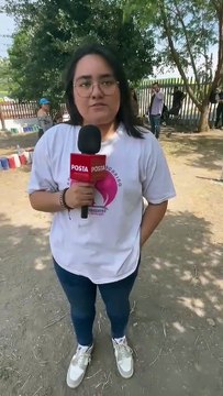 ¿Quieres educar a tu perro? Aquí te decimos dónde hay cursos en Monterrey