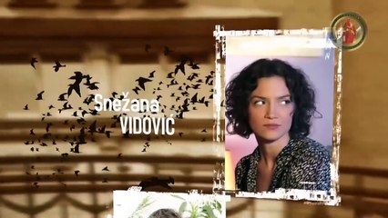 Lud Zbunjen Normalan (152 Epizoda) S6.E8 ∙ Pilot epizoda