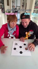 JEU DU CHAT & DE LA SOURIS 😼🐭