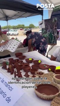 Celebran 1er Festival de Aves Playeras de la Ensenada de La Paz