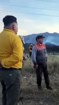 Combaten bomberos forestales seis incendios en Veracruz