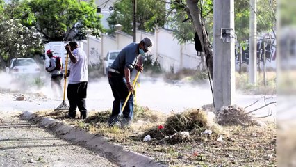 Recolectan más de 100 toneladas de basura en Santa Catarina