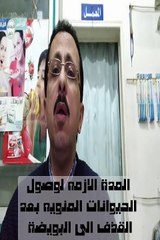 ما هى المدة الزمنيه التى تحتاجها الحيوانات المنويه للوصول الى البويضه وتلقيحها؟
