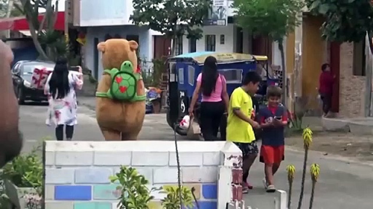 Peruvian police officer wears capybara costume to make arrest in drug probe