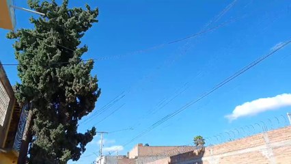 ¡Evita zonas arboladas en Durango!