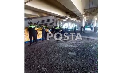 ¡Pobres perritos! Tráiler que transportaba alimento canino se atora bajo puente