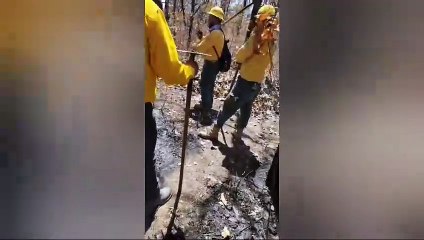 Alarma por incendio forestal en Coatepec Harinas (VIDEO)