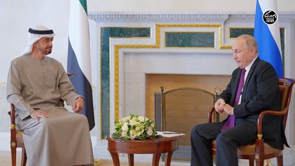 UAE President meets Vladimir Putin in Russia
