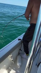 Atacan tiburones motor de un bote de pescadores ¡Viven para contarla! (VIDEO)