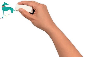 Information Presentation Of Koa Canine Massage Therapy