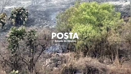 Fuego consume cerro de Las Peñitas en Atizapán (VIDEO)