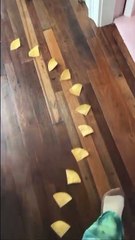 Benny Blanco sorprende a Selena Gomez con un peculiar regalo de San Valentín