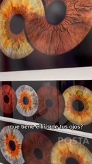 FotoIris Mty: convirtiendo el iris del ojo en una obra de arte