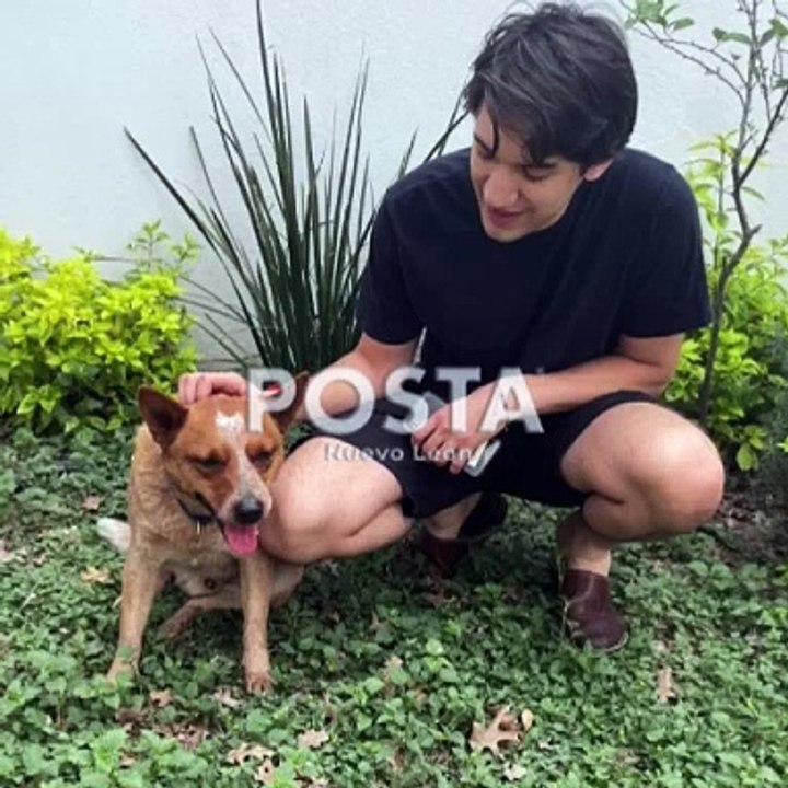 Bruno ya está en casa