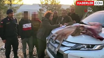 Koruma Altındaki Dağ Keçilerini Avlayana 1.96 Milyon TL Ceza