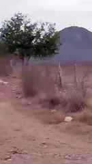 Se desploma helicóptero de la Marina en Culiacán, Sinaloa (VIDEO)