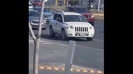 ¡Paseo de los Leones otra vez! Conductor se detiene y conduce en reversa (VIDEO)