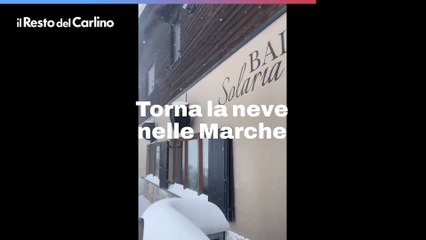 Torna la neve nelle Marche e riaprono gli impianti sciistici, video