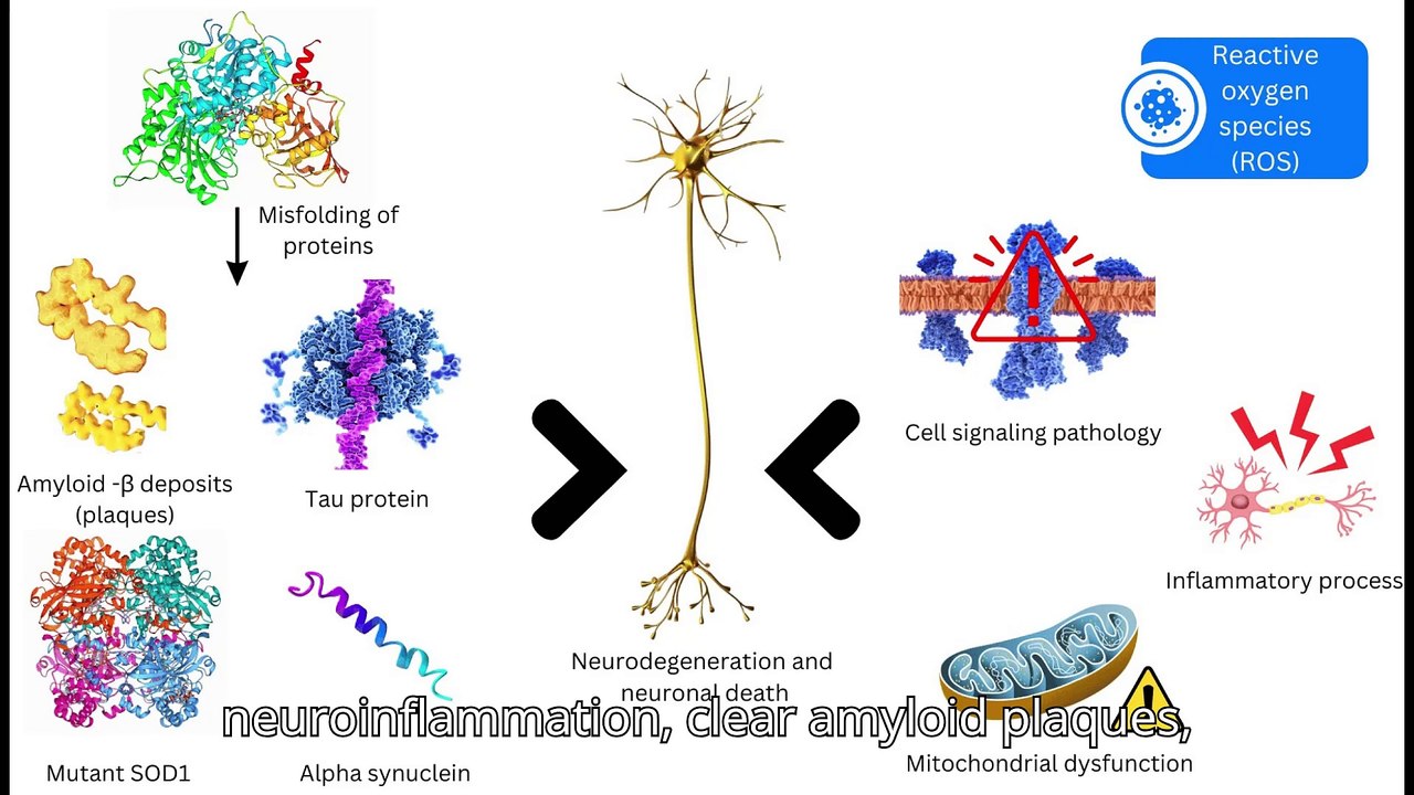 the future of alzheimer's research: biomarkers and drug pathways|what's next for alzheimer's research biomarkers