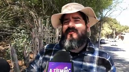 ¡Se logró! Nogal de 60 años será protegido