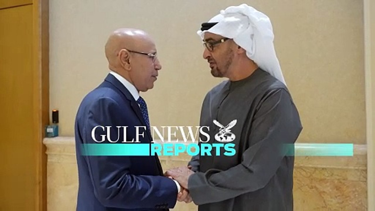 UAE President and Mauritanian counterpart hold talks on strengthening ties