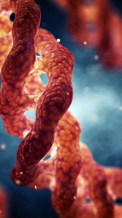 P.UBLlClTE 🛍️ Le LlEN de ce produit (n°314) est dans ma Bl0 (La Bl0-graphie est le texte de présentation sur ma page d’accueil TikTok, sous ma photo de profil)😀