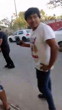 Venado cola blanca termina atropellado en Acanceh, Yucatán