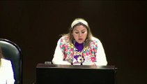 Por omisión e inacción de la 4T, México es rehén de criminales: Diputada Dircio