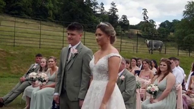 Vaca se opone a boda y causa risas a los novios e invitados (VIDEO)