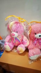 funzoo soft toys happy bear, angel bear, cap doll dlx,  sweet doll for valentine day gift
