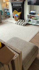 Adorable twins struggle to stay awake after a fun-filled day at the zoo