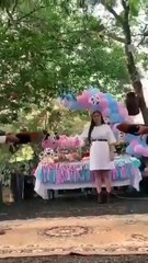 Pelean gallos para revelar género de bebé en Nuevo León (VIDEO)