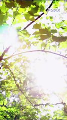 Clima en Monterrey: No te expongas a las altas temperaturas