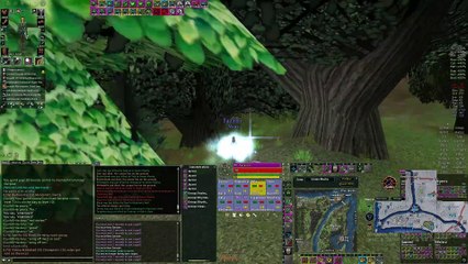 Dark Age of Camelot 2025.02.15 - 히스잠수땜에 졌어