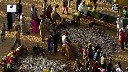 From Nigeria to Dubai: The remarkable journey of a marine officer in Dubai