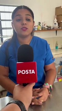 Criar perros y gatos de la calle puede causar enfermedades