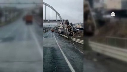 Koyunlar, yayalara örnek oldu, üst geçidi kullandı!