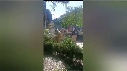 Les cae árbol encima, hay cinco lesionados en Texcoco (VIDEO)