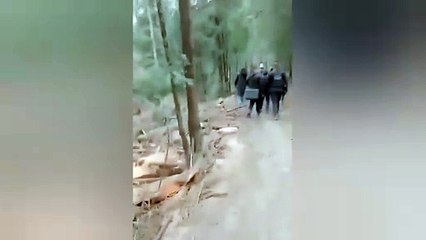 Queman camioneta con madera, presuntamente robada en Xonacatlán