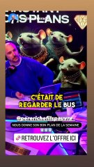 Comment louer une voiture pour 1€ 🚗