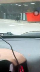 Captan a familia de osos buscando comida al sur de Monterrey