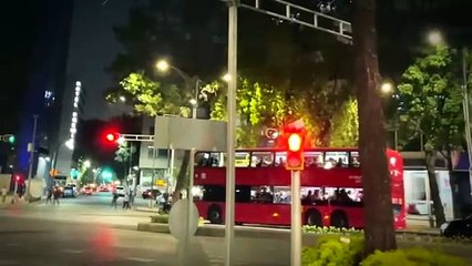 Florecen jacarandas en enero: capitalinos opinan sobre impacto en CDMX