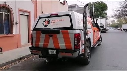 Protección Civil atiende incidente de árbol caído en San Pedro, sin lesionados