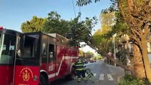 Árbol de mas de 15 metros se fractura y cae sobre cableado de energía eléctrica