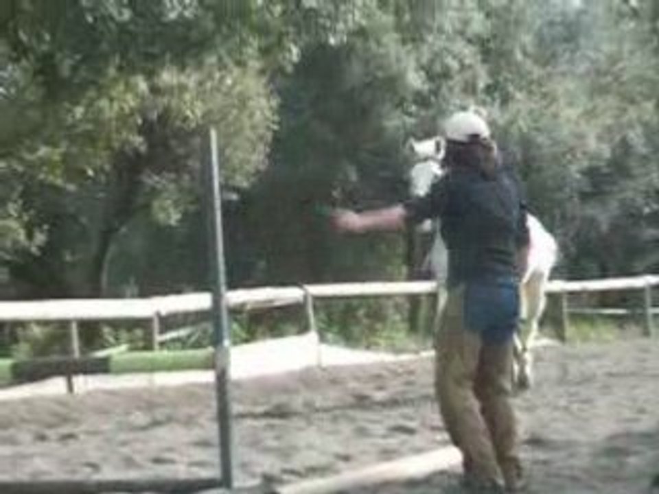 Stage (13)