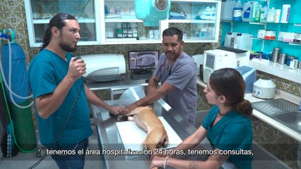 Monterrey: municipio de grandes oportunidades y facilidades para abrir negocio